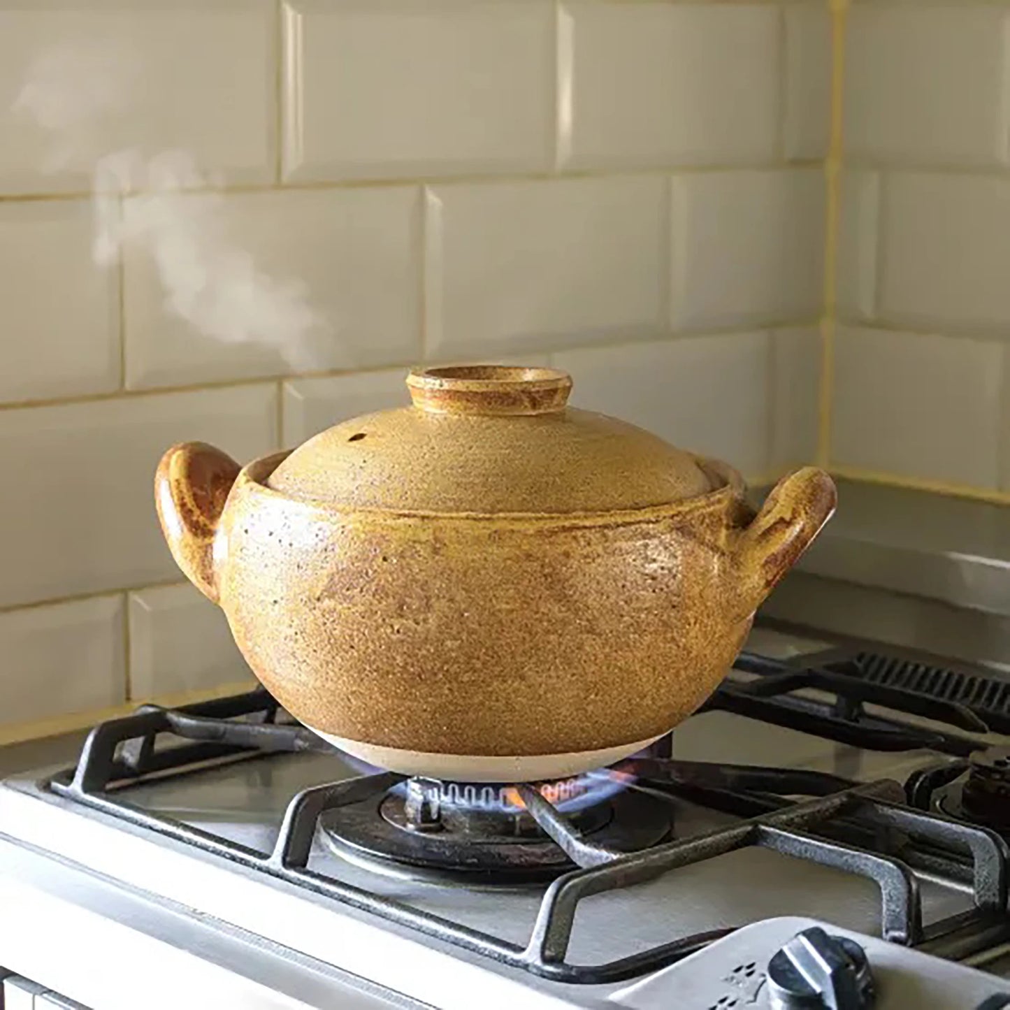
                  
                    A Miso Soup Pot with lid sits on a gas stove, steam rising gently, in a kitchen featuring a cream-colored tile backsplash.
                  
                