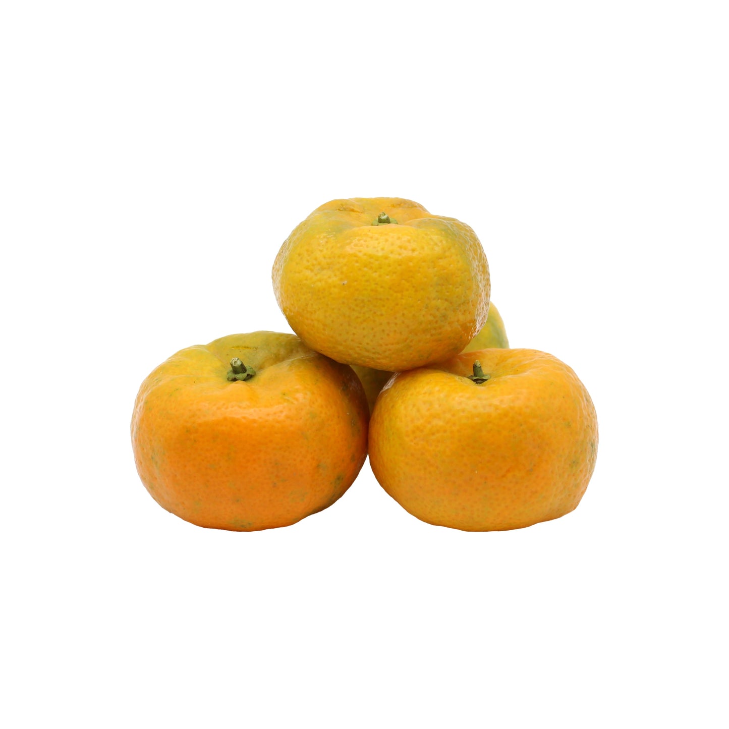 
                  
                    Three Fresh Shikuwasa fruits, a citrus from Okinawa, are stacked together against a plain white background.
                  
                