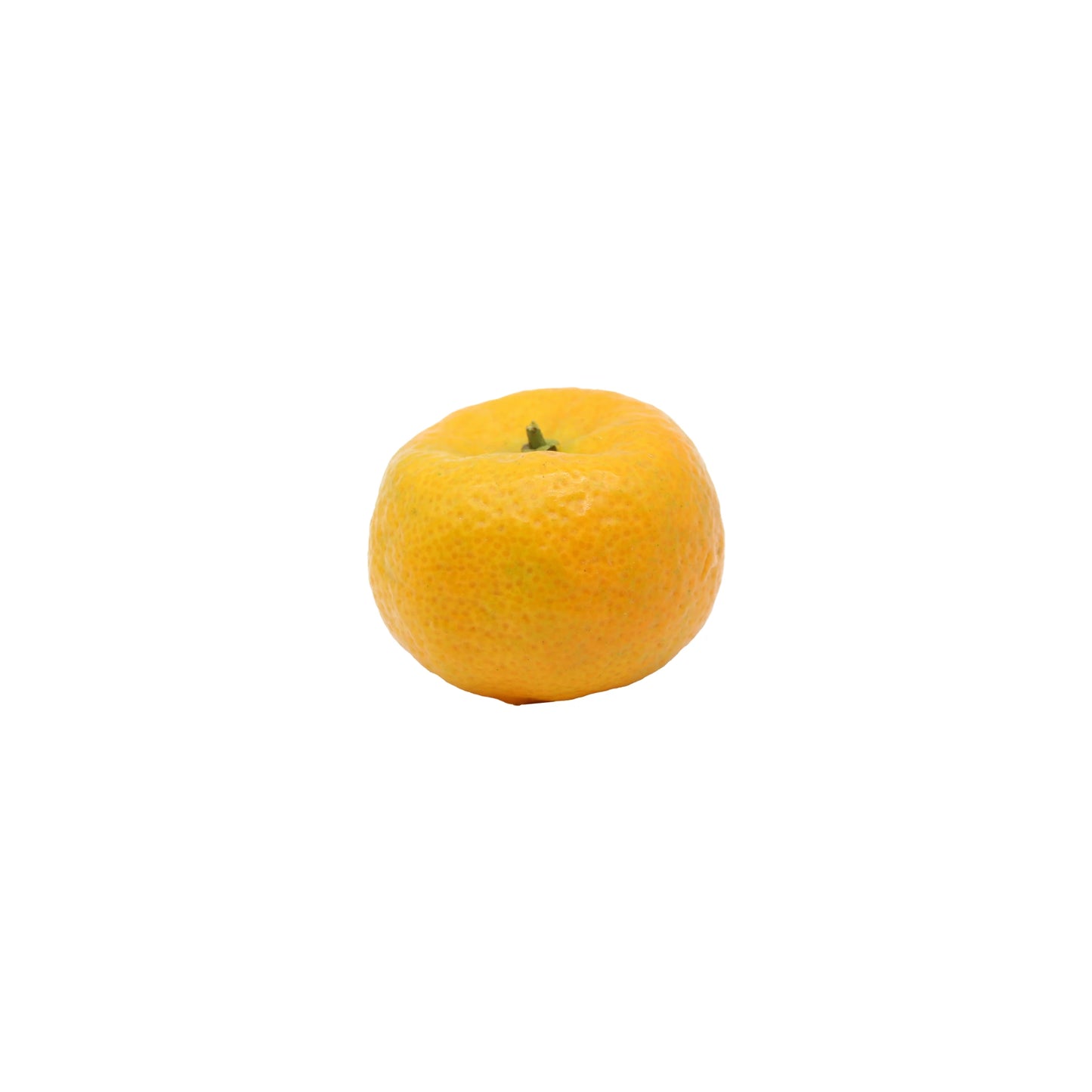 
                  
                    A single Fresh Shikuwasa Fruit is displayed on a plain white background.
                  
                