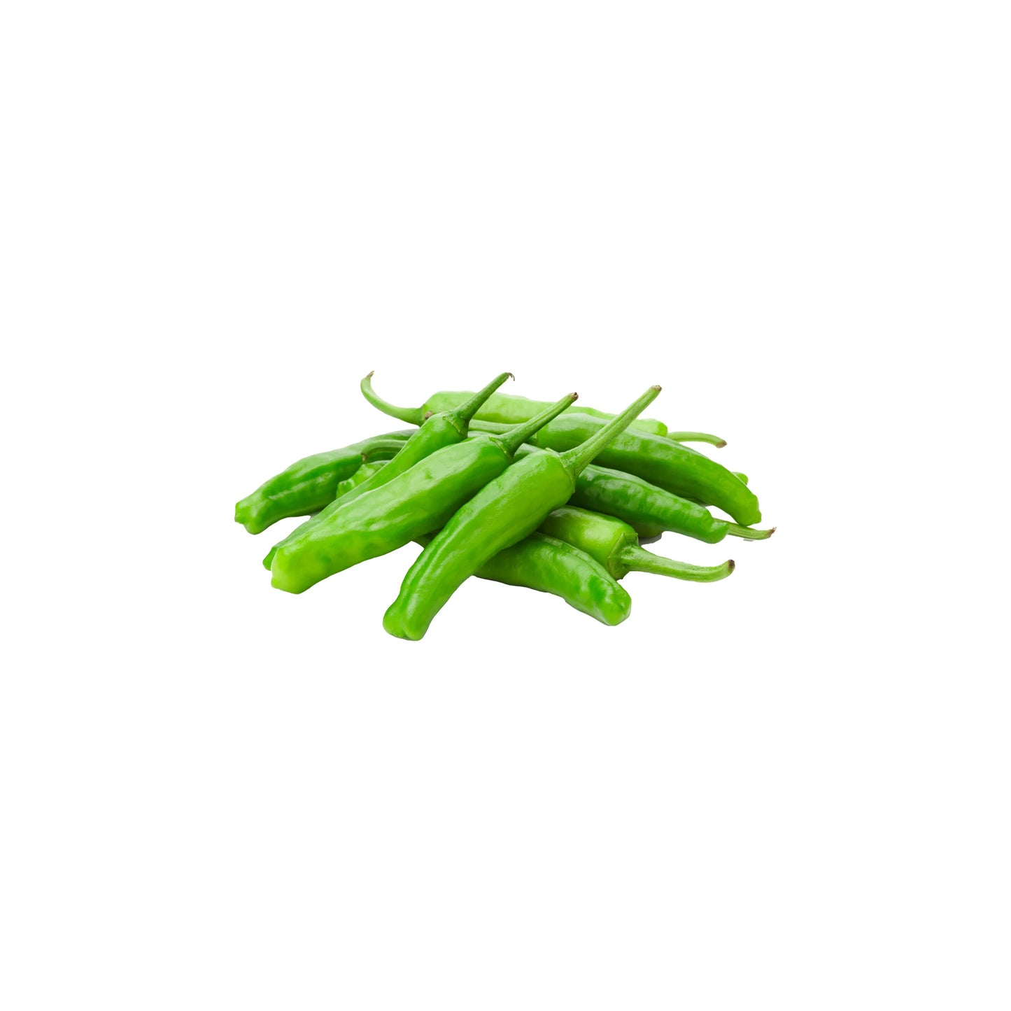 Three Shishito Pepper Plants, known for producing mild and sweet green peppers, are displayed on a white background.