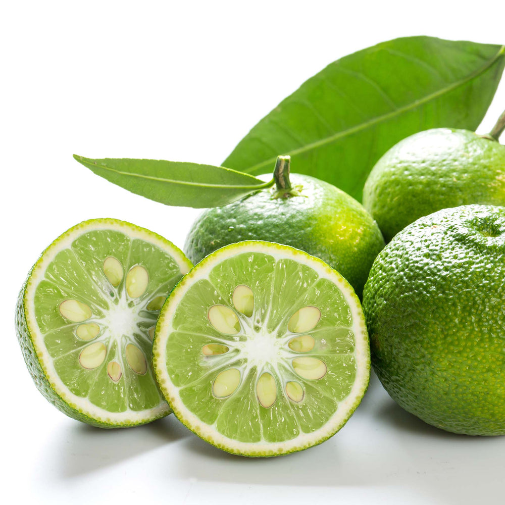 Fresh Sudachi—whole and halved fruits with visible seeds and a large green leaf on a white background. Popular in Japanese cuisine.