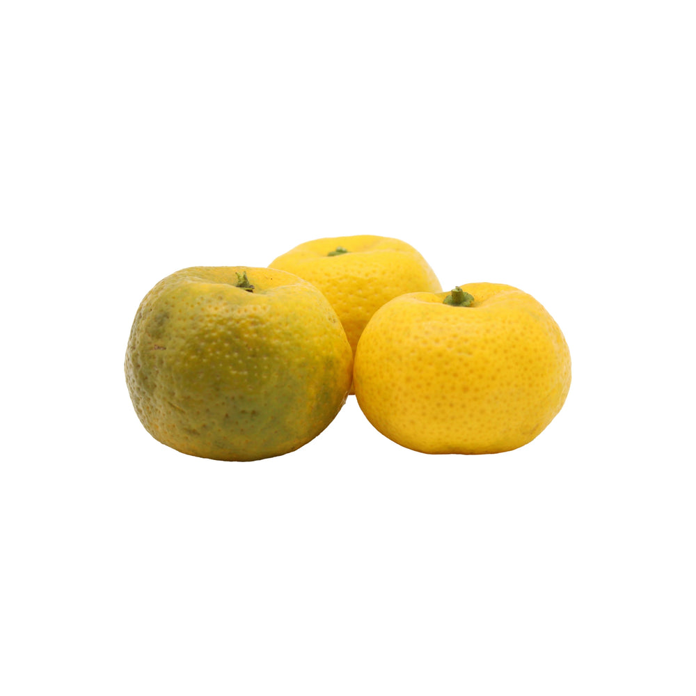 
                  
                    Three Fresh Tachibana, yellow Japanese heritage citrus fruits with slightly rough skin—one with green patches—are arranged against a plain white background. These citrus resemble traditional tachibana varieties.
                  
                