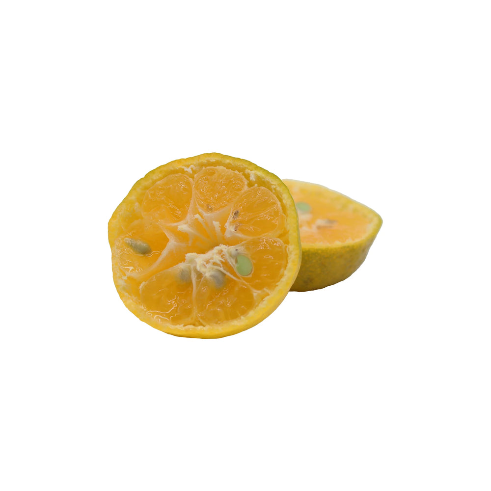 
                  
                    Two halves of Fresh Tachibana, a small yellow Japanese citrus fruit with visible seeds and juicy interior, isolated on a white background.
                  
                