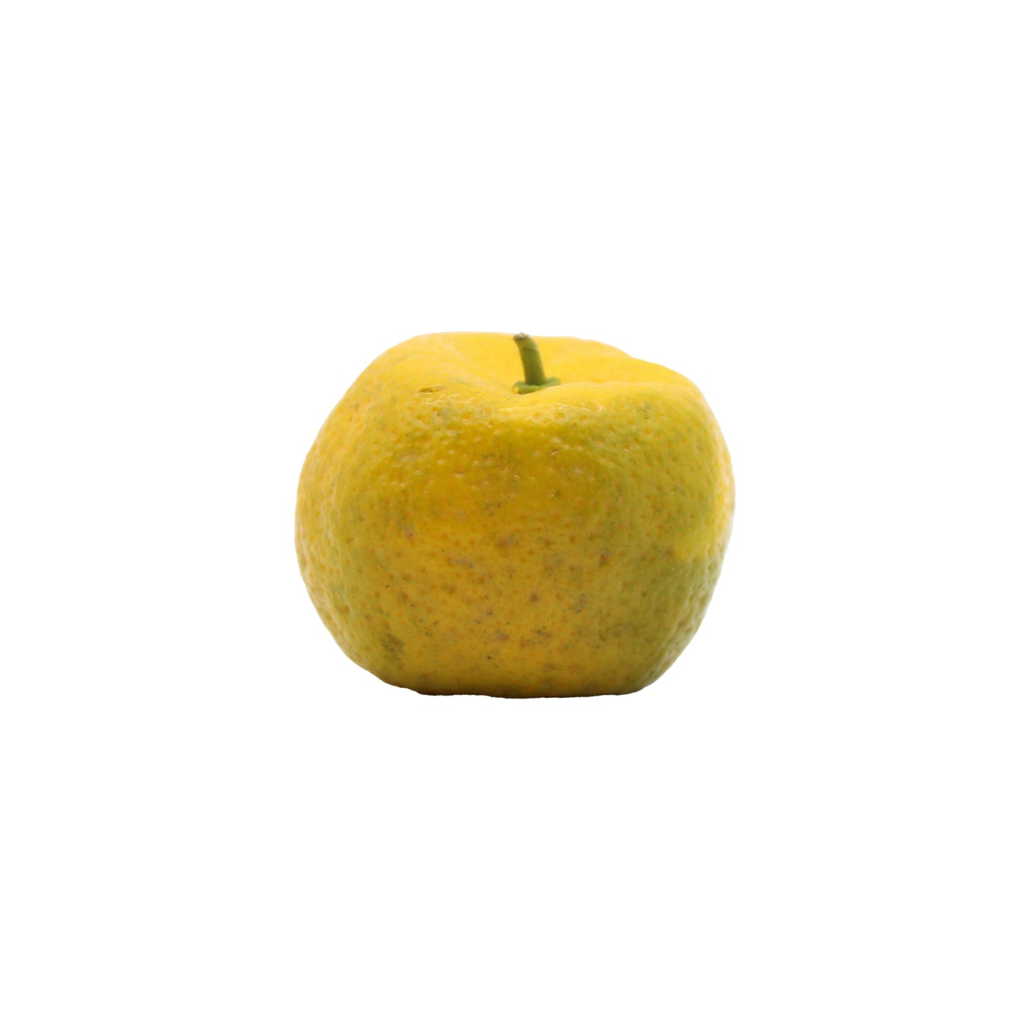
                  
                    A single, slightly misshapen Fresh Tachibana with a short stem, reminiscent of heritage Japanese citrus fruit, is set against a plain white background.
                  
                