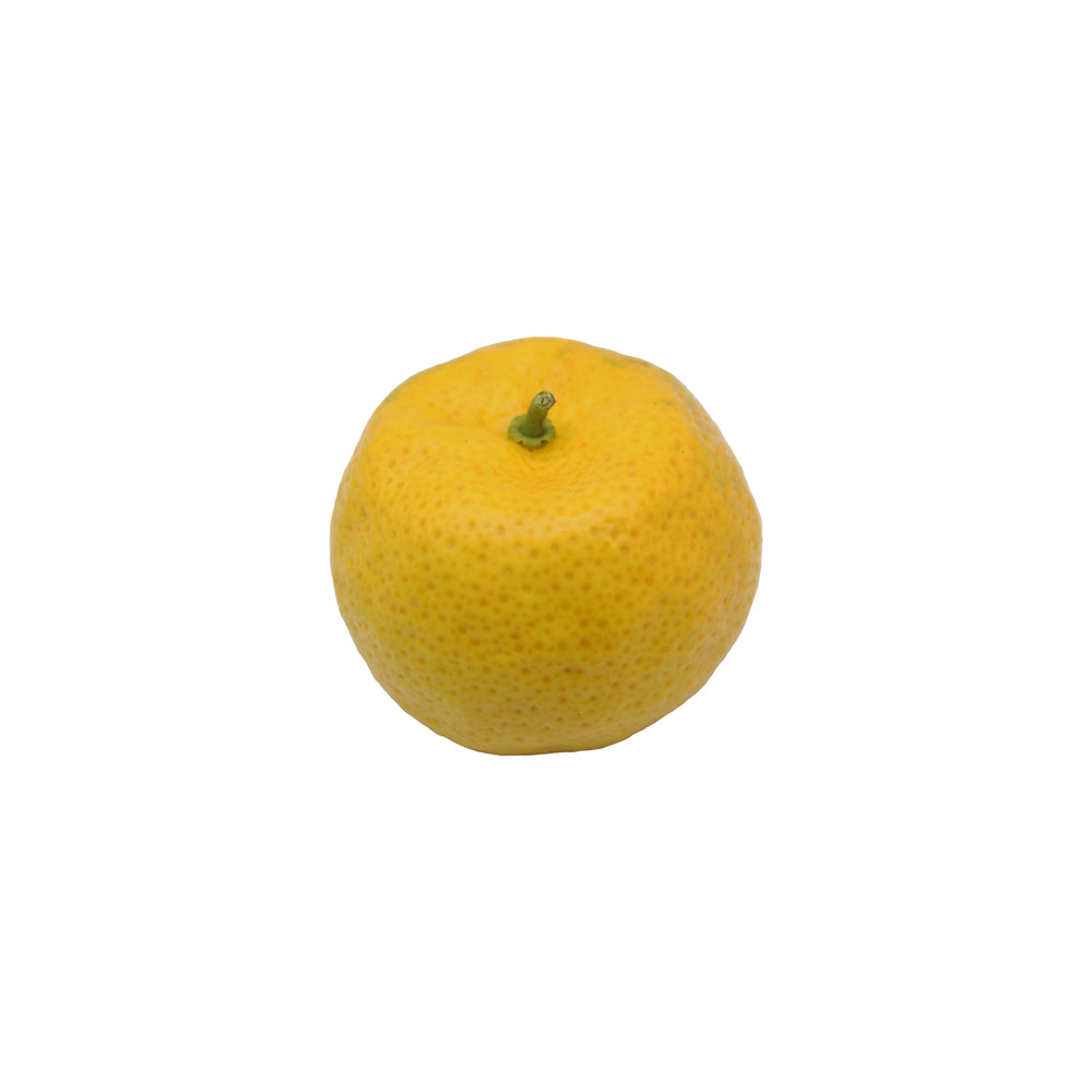 
                  
                    A Fresh Tachibana citrus fruit with a short green stem is centered on a plain white background.
                  
                