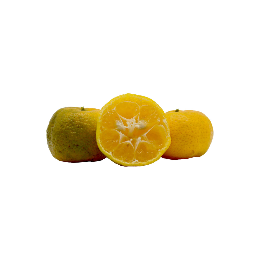 
                  
                    Fresh Tachibana: Two whole yellow-green fruits and one halved, revealing juicy segments and seeds against a white background. This heritage Japanese citrus is prized for its vibrant flavor and unique look.
                  
                