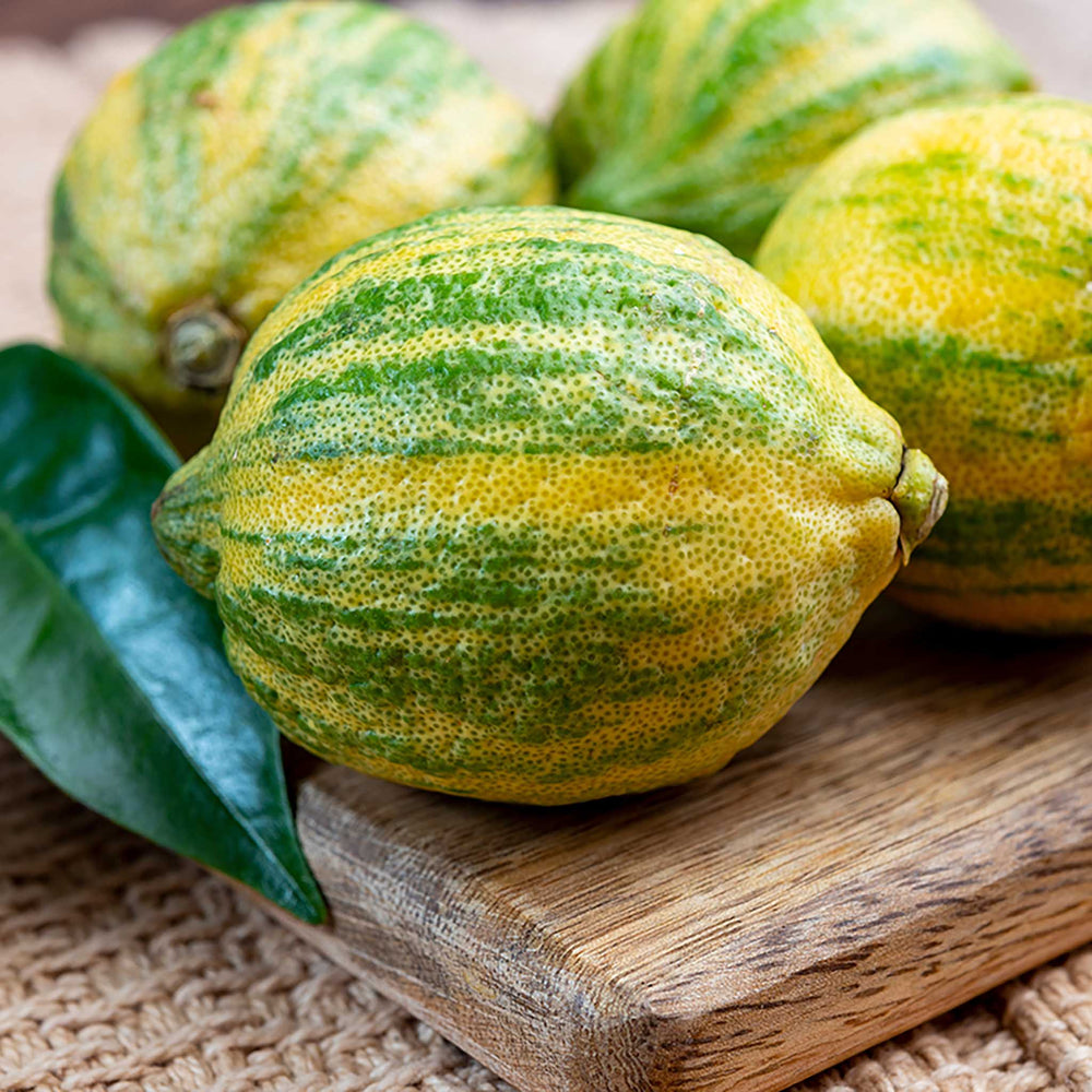 Fresh Tiger Lemons