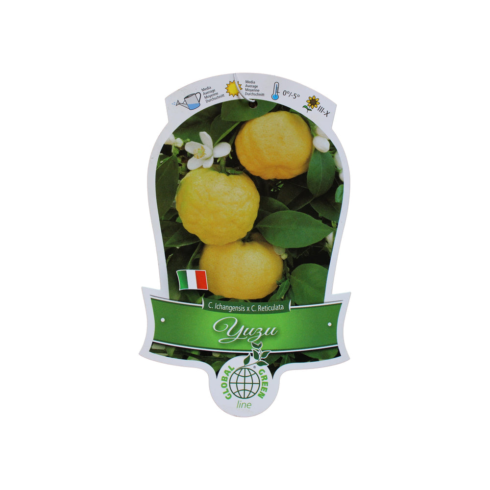 YUZU Kozaemon Shiroku Yuzu - 500ml