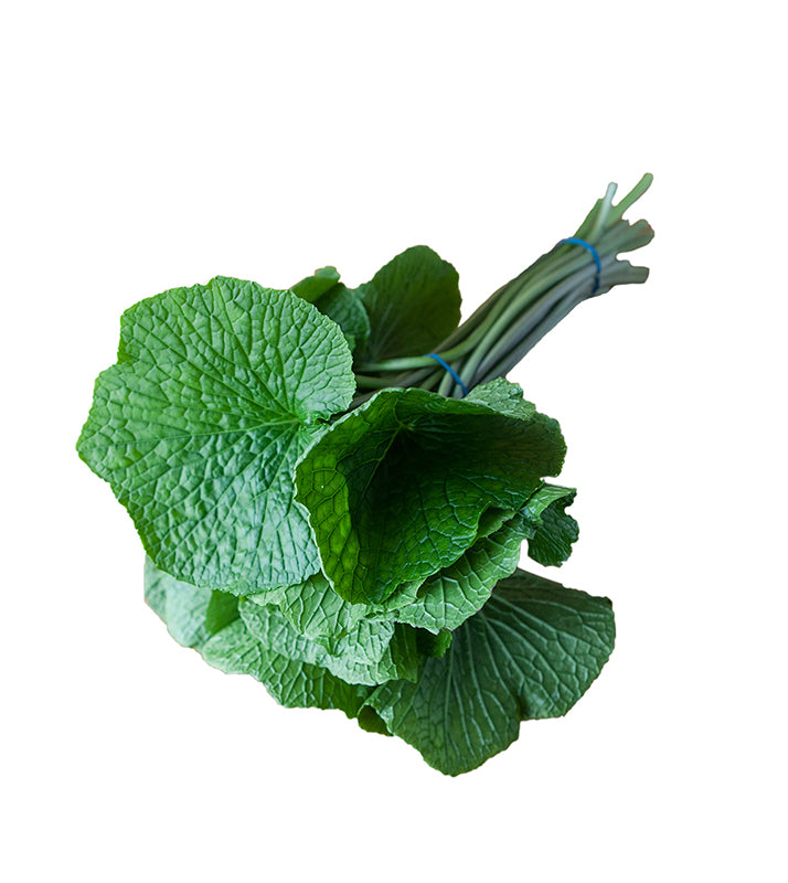 English Wasabi Leaves and Stem - 250g: Fresh wasabi leaves with long stems, bound with a blue rubber band. Perfect for making tempura batter. Presented isolated on a white background.