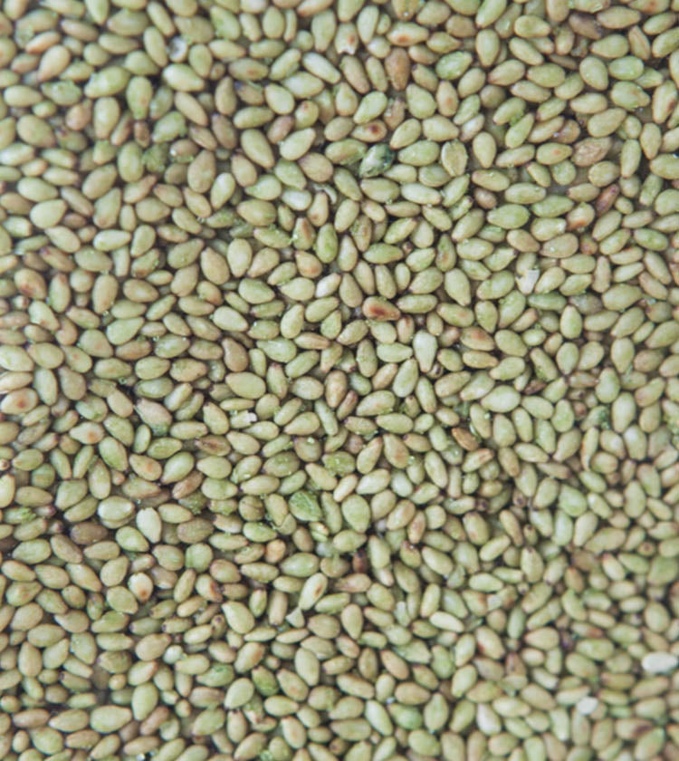 
                  
                    Close-up of a large quantity of Sesame Seeds with Wasabi, showing their greenish-brown color as they fill the entire frame.
                  
                