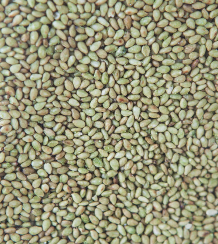 
                  
                    Sesame Seeds with Wasabi
                  
                