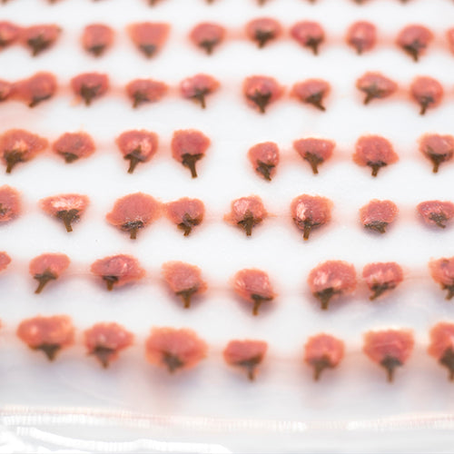 Rows of small, pink, cherry blossom-shaped Cherry Blossoms in Syrup - 100 flowers with green stems are arranged on a white surface.