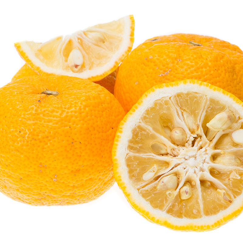 
                  
                    Fresh Yuzu, a Japanese citrus fruit with yellow-orange rind, pale pulp, and visible seeds, is displayed whole and sliced on a white background—ideal for highlighting vibrant yuzu zest.
                  
                