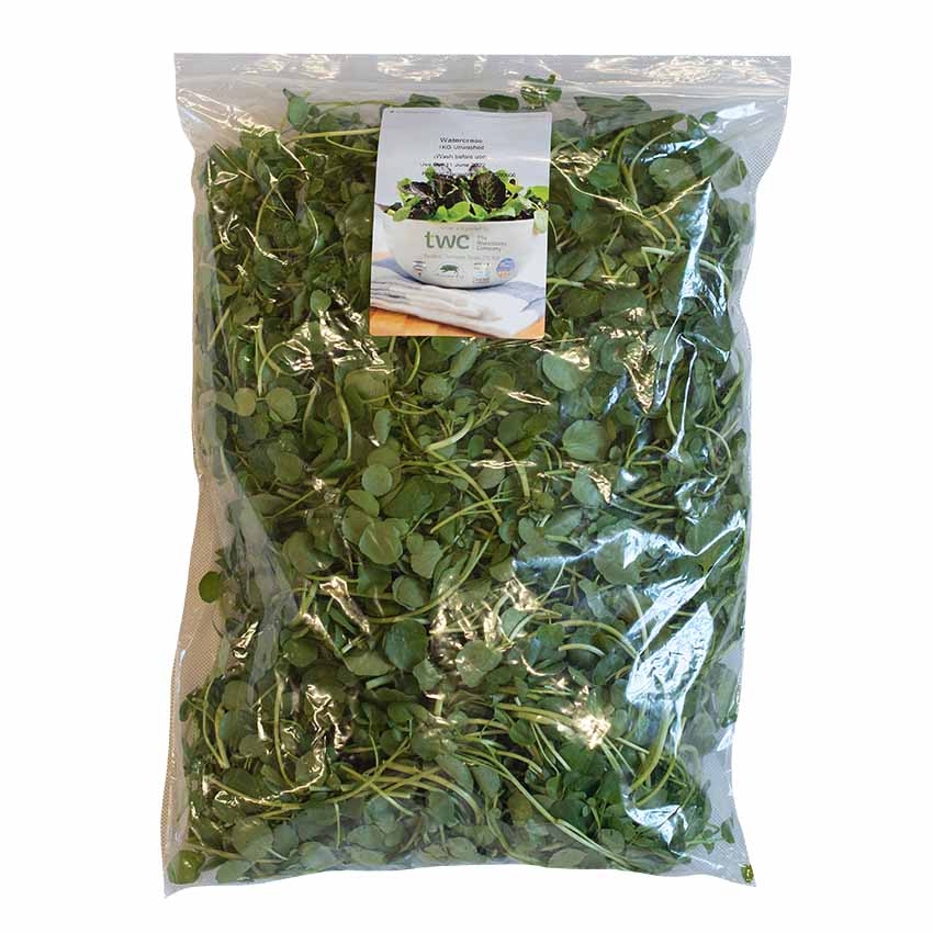 
                  
                    A large clear plastic bag labeled Fresh Watercress, filled with fresh watercress leaves grown in mineral-rich spring water, includes nutritional info and storage instructions on the packaging.
                  
                