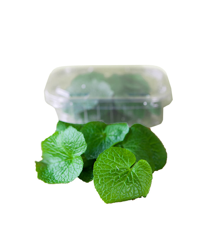 A clear 30g pack of English Wasabi Baby Leaf, featuring fresh green leaves displayed on a white background—ideal as a salad garnish or paired with English-grown wasabi.